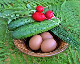 Similar image 579957