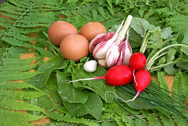 Similar image 579960