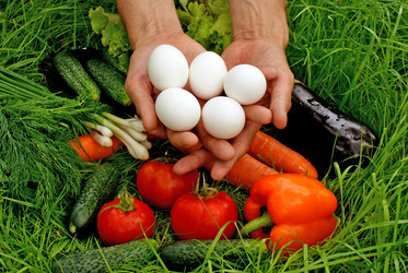 Similar image 579987