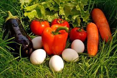 Similar image 579993