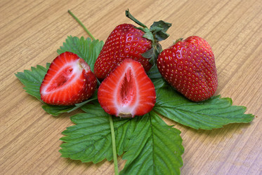 Similar image 580025