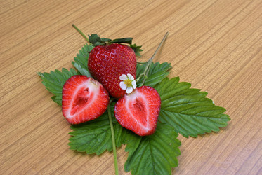 Similar image 580027