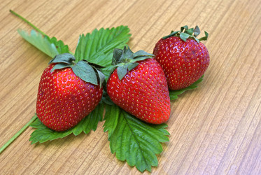 Similar image 580029