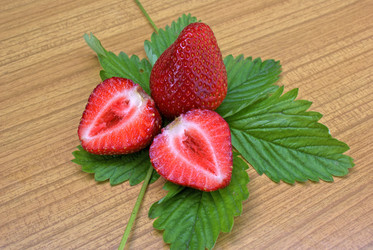 Similar image 580031