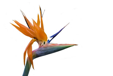 Similar image 580100