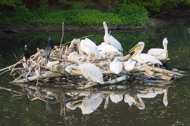 Similar image 580102