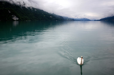 Similar image 580133