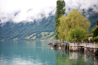 Similar image 580135