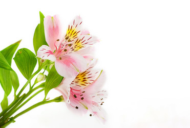 Similar image 580138