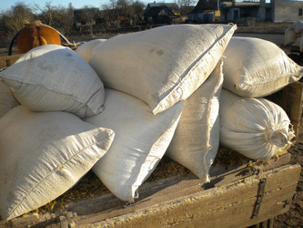 Similar image 580234