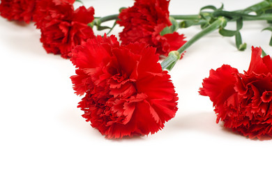 Similar image 580246