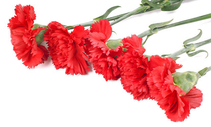 Similar image 580247