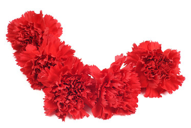 Similar image 580248