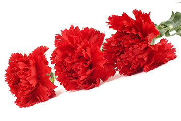 Similar image 580249