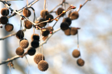 Similar image 580378