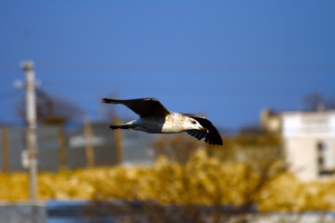 Similar image 580379