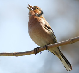 Similar image 580381