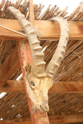 Similar image 580400