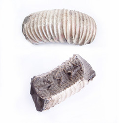 Similar image 580545