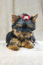 Similar image 580546