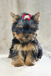 Similar image 580548