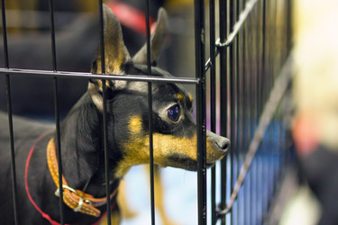 Similar image 580550