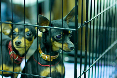 Similar image 580561