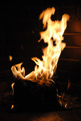 Similar image 580641