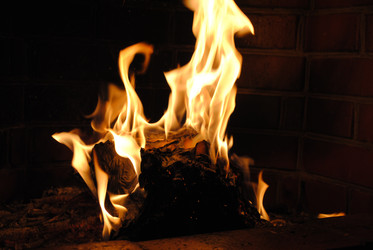 Similar image 580643