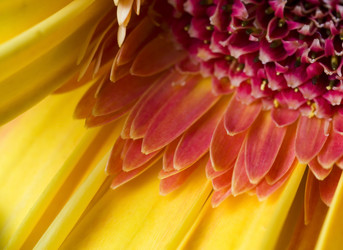 Similar image 580681