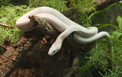 Similar image 580724