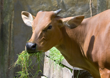 Similar image 581171