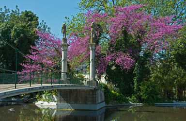 Similar image 581361