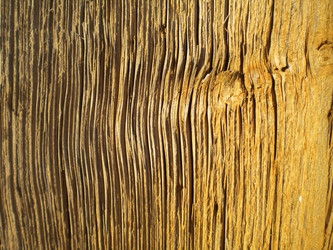 Similar image 581410