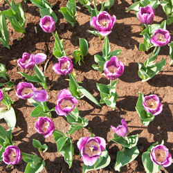 Similar image 581491