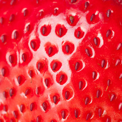 Similar image 581533