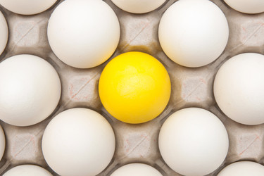 Similar image 581535