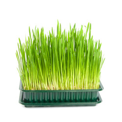 Similar image 581542