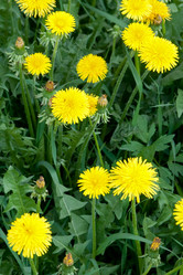 Similar image 581556