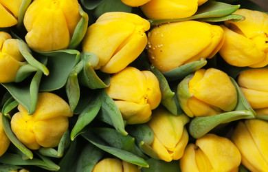 Similar image 581558