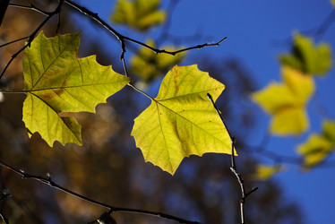 Similar image 581677