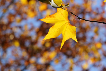 Similar image 581680