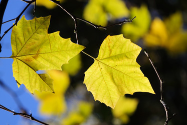 Similar image 581687