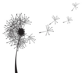 Similar image 581697