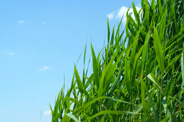 Similar image 581729