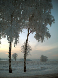 Similar image 581749