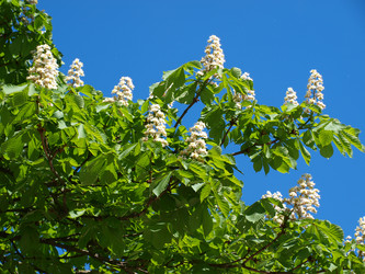 Similar image 581798