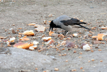 Similar image 581999