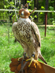 Similar image 582038