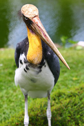 Similar image 582063